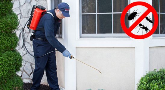 Perşembe Dezenfeksiyon böcek ilaçlama ve haşere kontrolü — ilaclama-tr.com